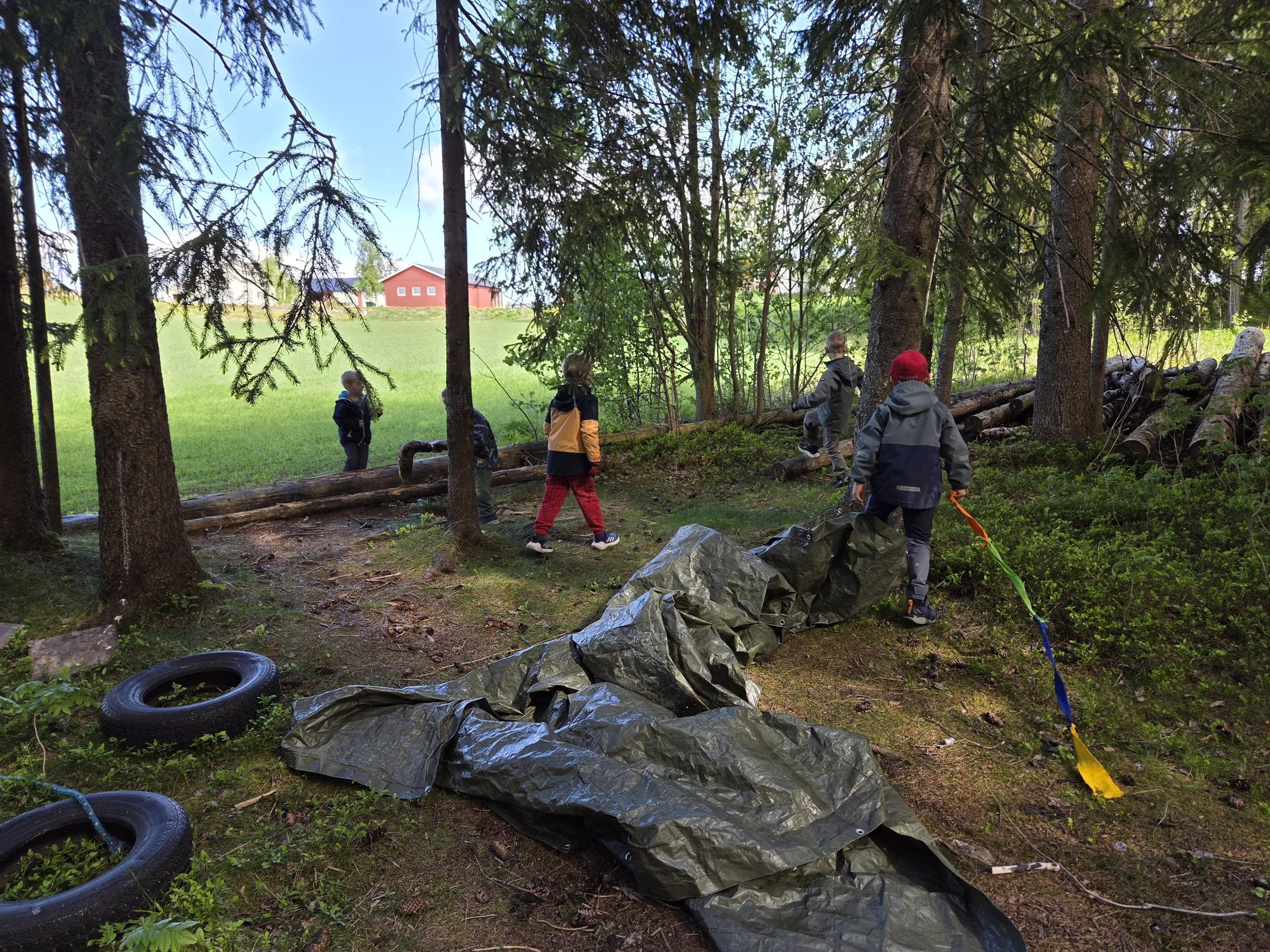 Barn på skogstur en sommerdag