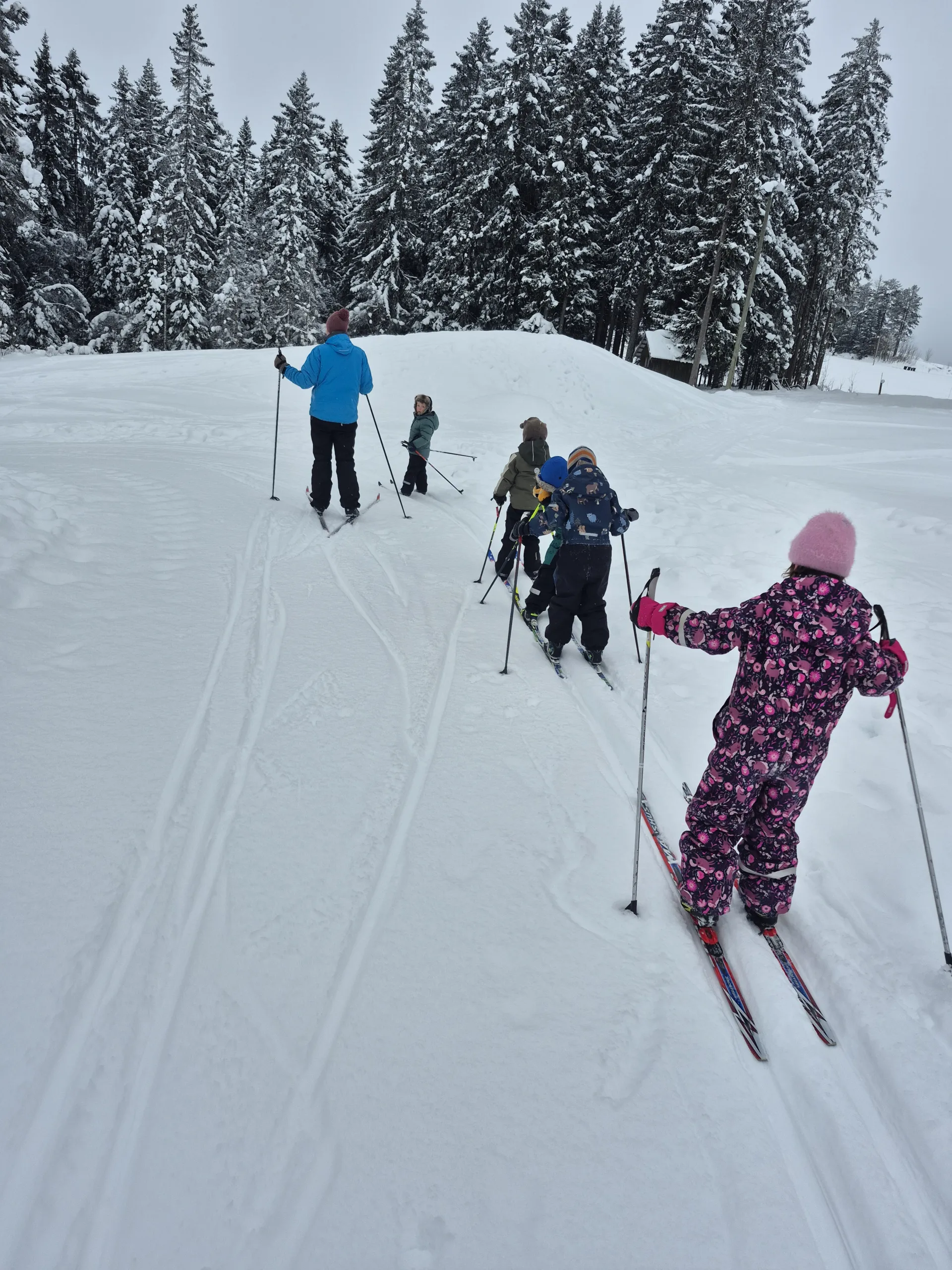 Barn og voksen på skitur i skogen